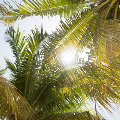 6180-martin-zangerl-Phb3Vp9LdA8-unsplash