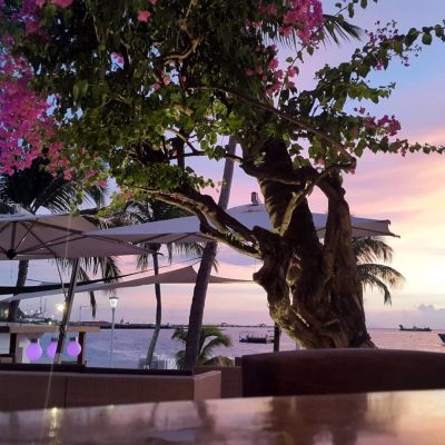 View from the Bar