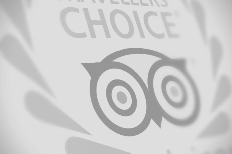 8505-award-illustration