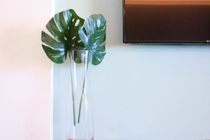 8339-20190508-IMG_8394-1200