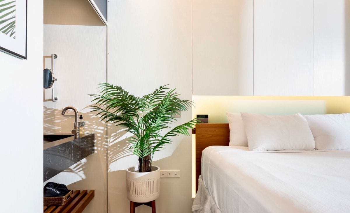 Holland House Executive<br/>City View